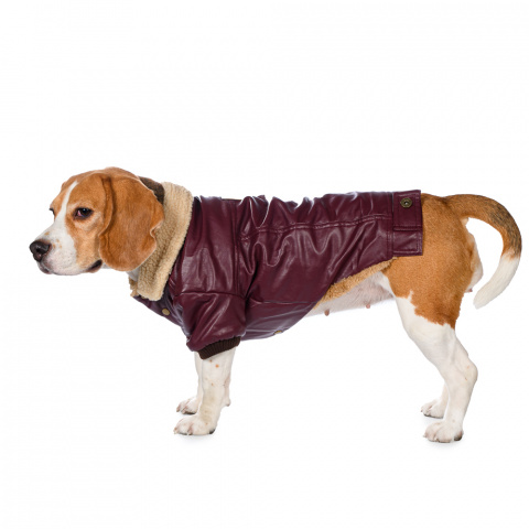 Куртка из кожзама для собак 3XL бордовый (унисекс) 4