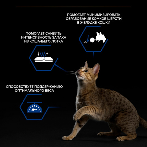 Nutri Savour Housecat Влажный корм (пауч) для взрослых кошек живущих дома, с лососем в соусе, 85 гр. 3