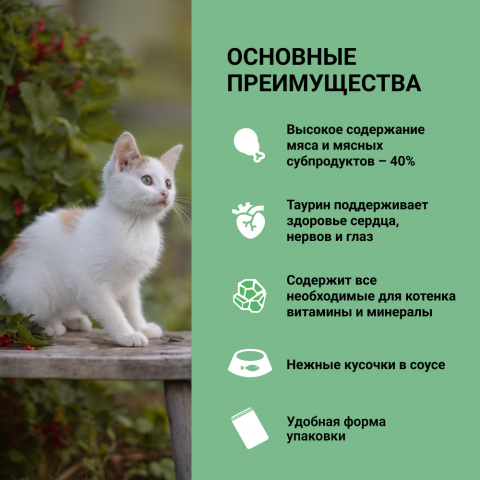 У котенка зеленый стул