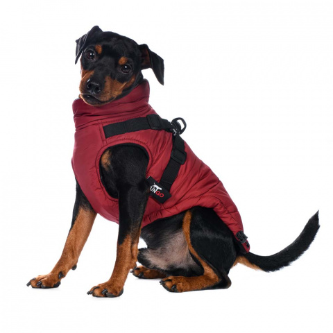 Попона теплая со шлейкой для собак средних пород Французский бульдог M бордовый (унисекс) 8