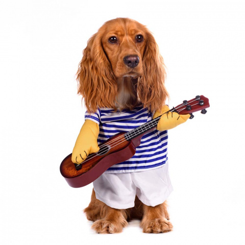Костюм для собак Морячок с гитарой L синий (унисекс) 1