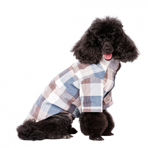 Рубашка с бантиком для собак XL голубой (унисекс)