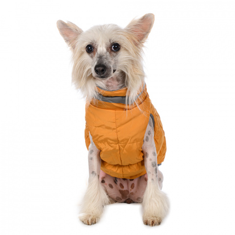 Куртка на молнии для собак L желтый (унисекс) 1