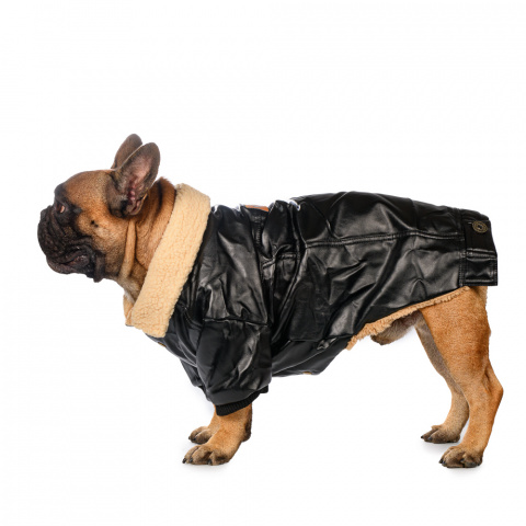 Куртка из кожзама для собак XS черный (унисекс)
