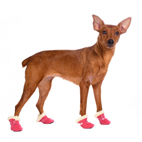 Ботинки замшевые для собак L розовый (унисекс) 2
