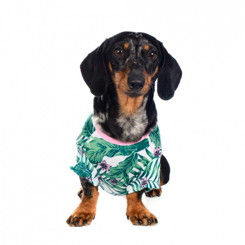 Рубашка для собак с листьями S зеленый (унисекс) 5
