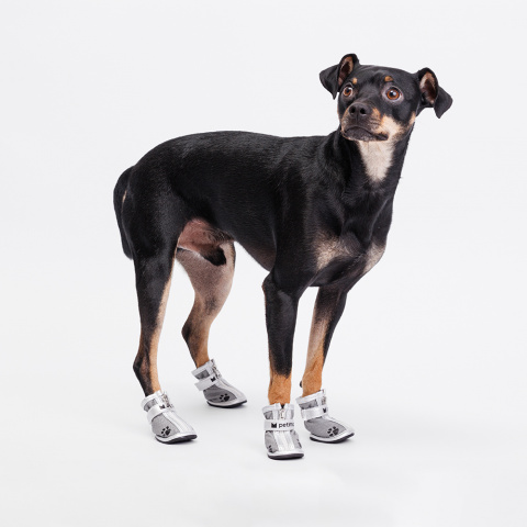 Ботинки с лапкой для собак, XS, серебряные (унисекс) 1