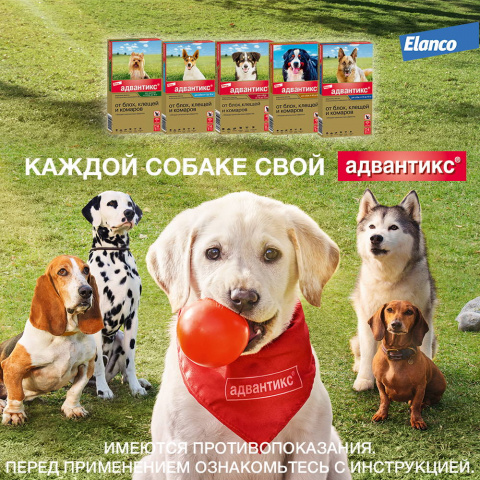 Адвантикс капли на холку для собак весом от 4 до 10 кг от блох, клещей и комаров, 1 пипетка, 1 мл 8