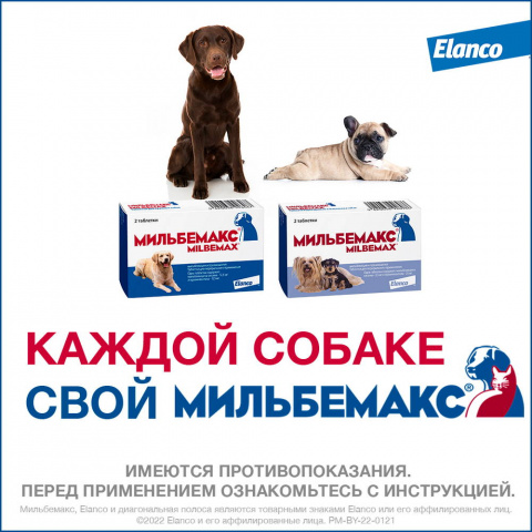Мильбемакс Таблетки от гельминтов для щенков и собак мелких пород весом 0,5-10 кг, 2 таблетки 9