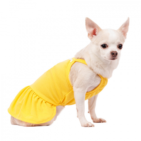 Платье для собак с ромашкой S желтый (девочка) 2