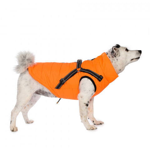 Куртка со шлейкой для собак 4XL желтый (унисекс)