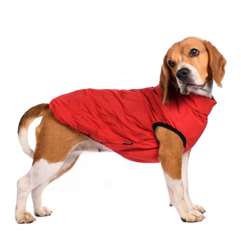 Куртка на молнии для собак L красный (унисекс) 10