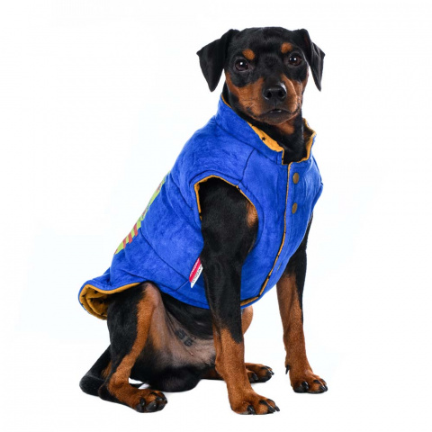 Комбинезон-Дождевик для собаки.Одежда для средних собак