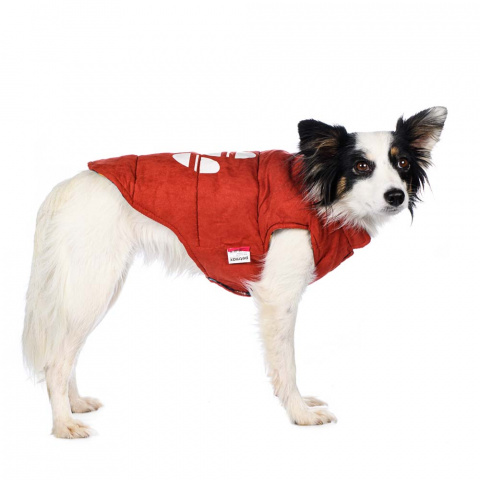 Куртка двухсторонняя для собак L оранжевый (унисекс) 5