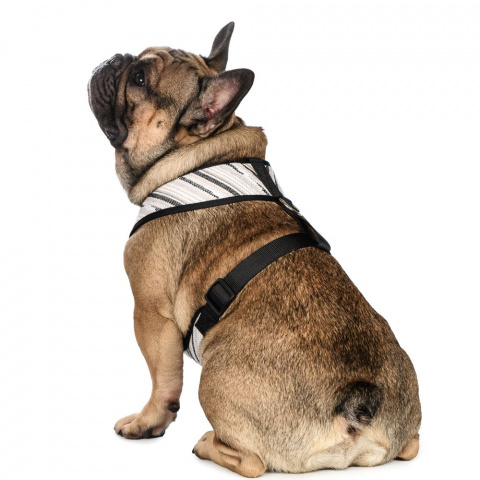 Шлейка для собак XL, серая, обхват груди: 58-78 см 7