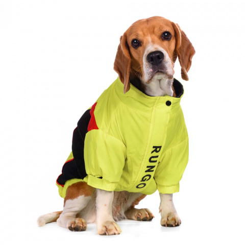 Куртка на молнии для собак мелких пород Карликовый пинчер, Джек Рассел, Бигль 24x36x23см S желтый (унисекс) 5