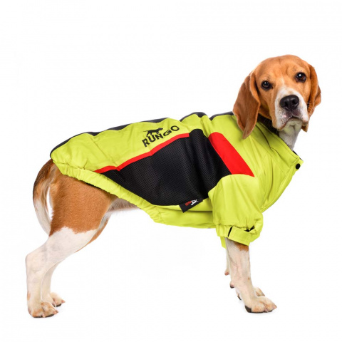 Куртка на молнии для собак средних пород Карликовый пинчер, Джек Рассел, Бигль 33x48x31см L желтый (унисекс) 6