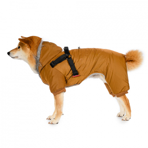 Комбинезон для собак со шлейкой и капюшоном бежевый 1