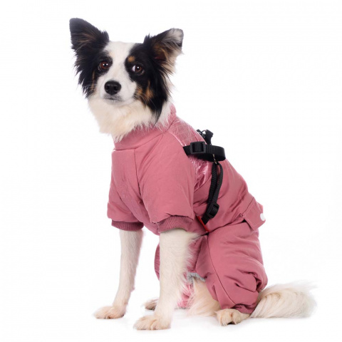 Комбинезон на молнии со шлейкой для собак XL розовый (девочка) 7