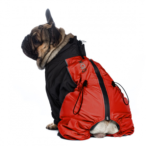 Комбинезон для собак крупных пород теплый Французский бульдог мальчик черный/красный 42x54x70 см 1