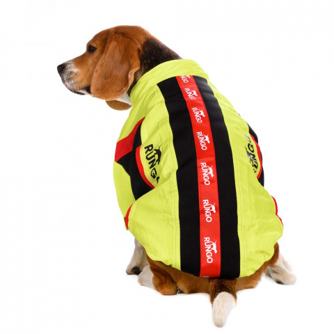 Куртка на молнии для собак средних пород Карликовый пинчер, Джек Рассел, Бигль 33x48x31см L желтый (унисекс) 4