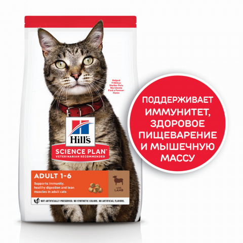Science Plan Сухой корм для поддержания жизненной энергии и иммунитета взрослых кошек, с ягненком, 10 кг 3