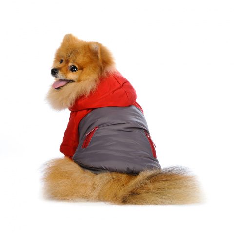 Куртка для собак бордовая 1