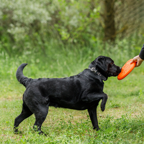 Игрушка для собак Тарелка летающая диаметр 22 см средняя оранжевая, толщина 2,3 см, для собак средних пород (снаряд, пуллер) 2