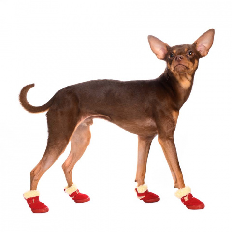 Ботинки замшевые для собак M красный (унисекс) 3