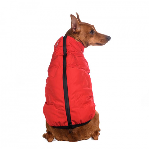 Куртка для собак на молнии красная 2
