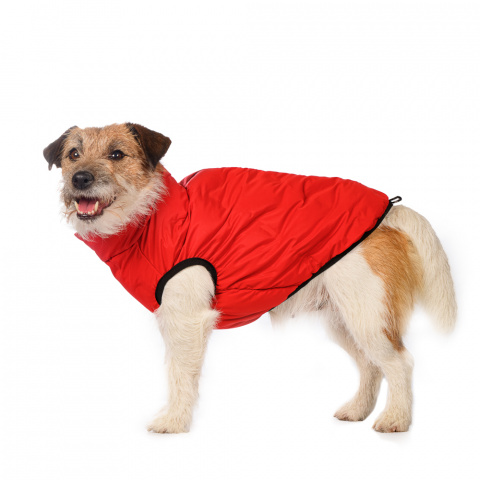 Куртка на молнии для собак M красный (унисекс)
