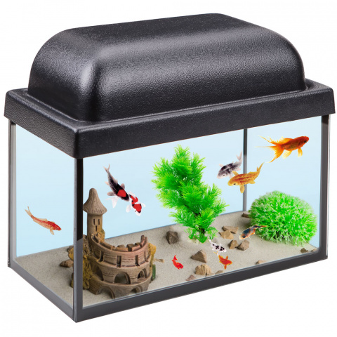 5 литровый аквариум