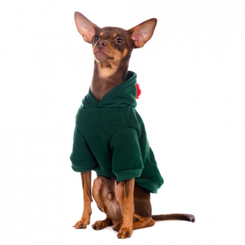 Толстовка для собак зеленая Christmas M 3