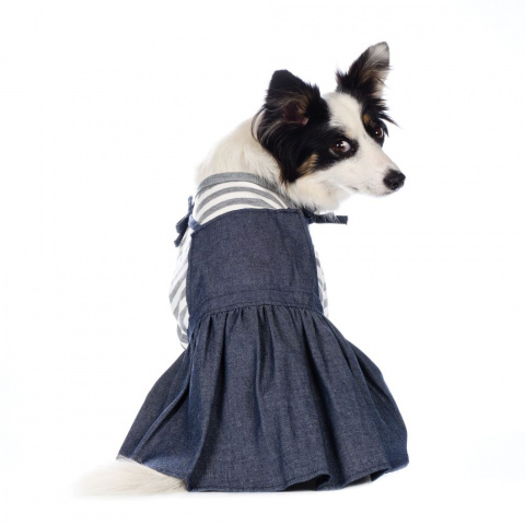 Платье для собак XS серый (девочка) 2