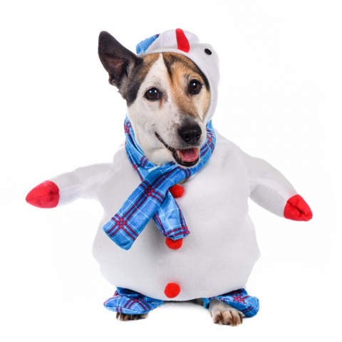 Костюм для собак Снеговик с ручками XL голубой (унисекс)