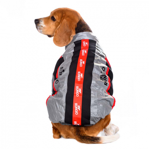 Куртка на молнии для собак крупных пород Карликовый пинчер, Джек Рассел, Бигль 56x79x51см 5XL серый (унисекс) 7