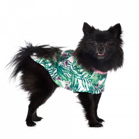 Рубашка для собак с листьями L зеленый (унисекс)