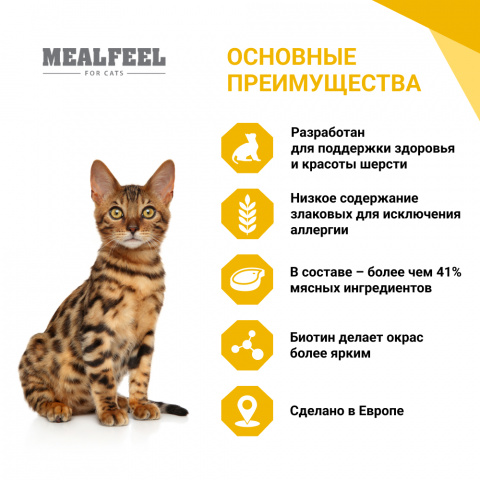 Functional Nutrition Beauty Влажный корм (пауч) для кошек, красоты шерсти и здоровья кожного покрова, с кусочками индейки в соусе, 100 гр. 1