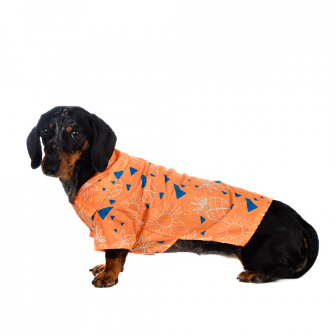 Рубашка для собак с пальмами XL оранжевый (унисекс) 4