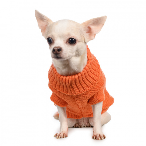 Свитер для собак оранжевый с кроликом 40см