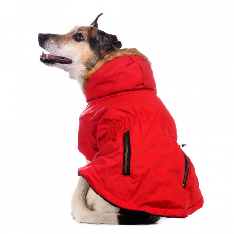 Куртка приталенная с меховым капюшоном для собак XS красный (унисекс) 4