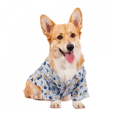 Рубашка для собак 2XL голубой (унисекс) 1