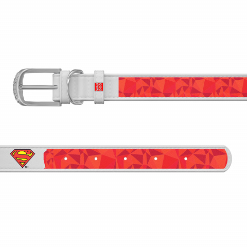 Ошейник WAUDOG Design с рисунком Супермен 1, премиум кожа, металлическаяпряжка (ширина 15 мм, длина 27-36 см) белый 2