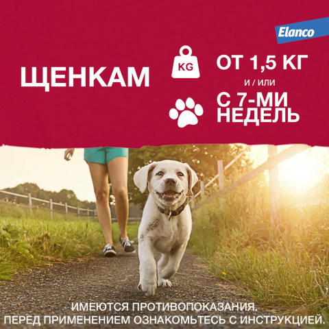 Адвантикс капли на холку для собак весом до 4 кг от блох, клещей и комаров, 1 пипетка, 0,4 мл 6