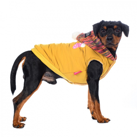 Куртка с капюшоном для собак S желтый (унисекс) 1