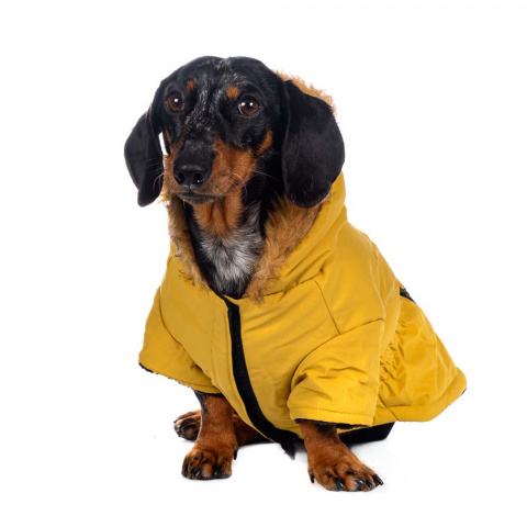 Куртка приталенная с меховым капюшоном для собак M желтый (унисекс) 1