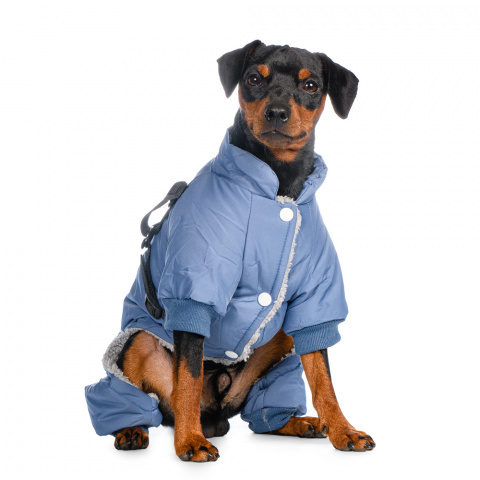 Комбинезон со шлейкой для собак XL голубой (унисекс) 1