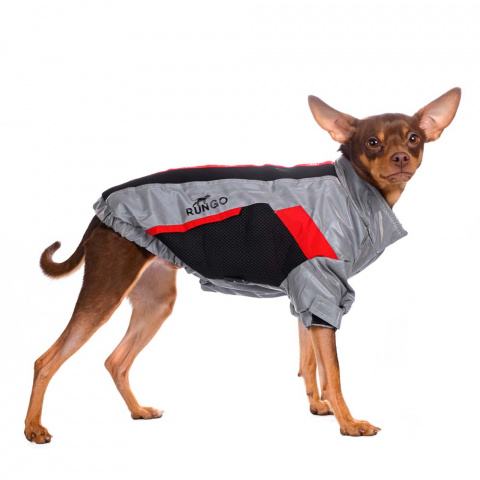 Куртка на молнии для собак мелких пород Карликовый пинчер, Джек Рассел, Бигль 29x42x27см M серый (унисекс) 4