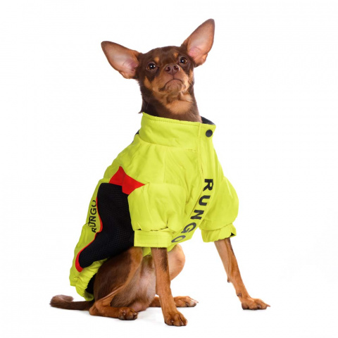 Куртка на молнии для собак мелких пород Карликовый пинчер, Джек Рассел, Бигль 29x42x27см M желтый (унисекс) 2