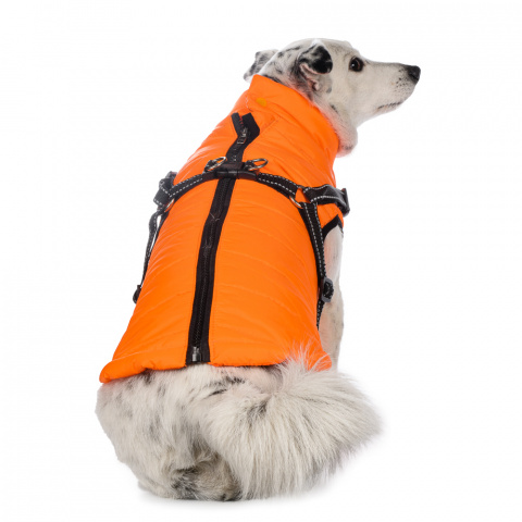Куртка со шлейкой для собак 3XL желтый (унисекс) 1